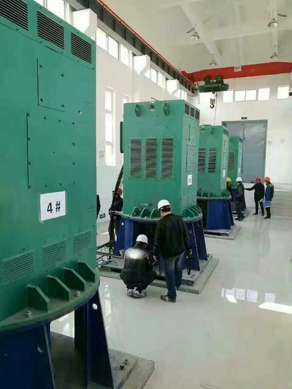 吴江某污水处理厂使用我厂的立式高压电机安装现场